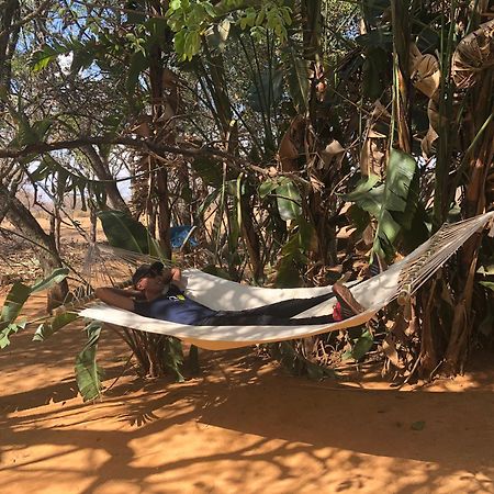 Honeyguide Ranger Camp 호텔 Golders Green 외부 사진