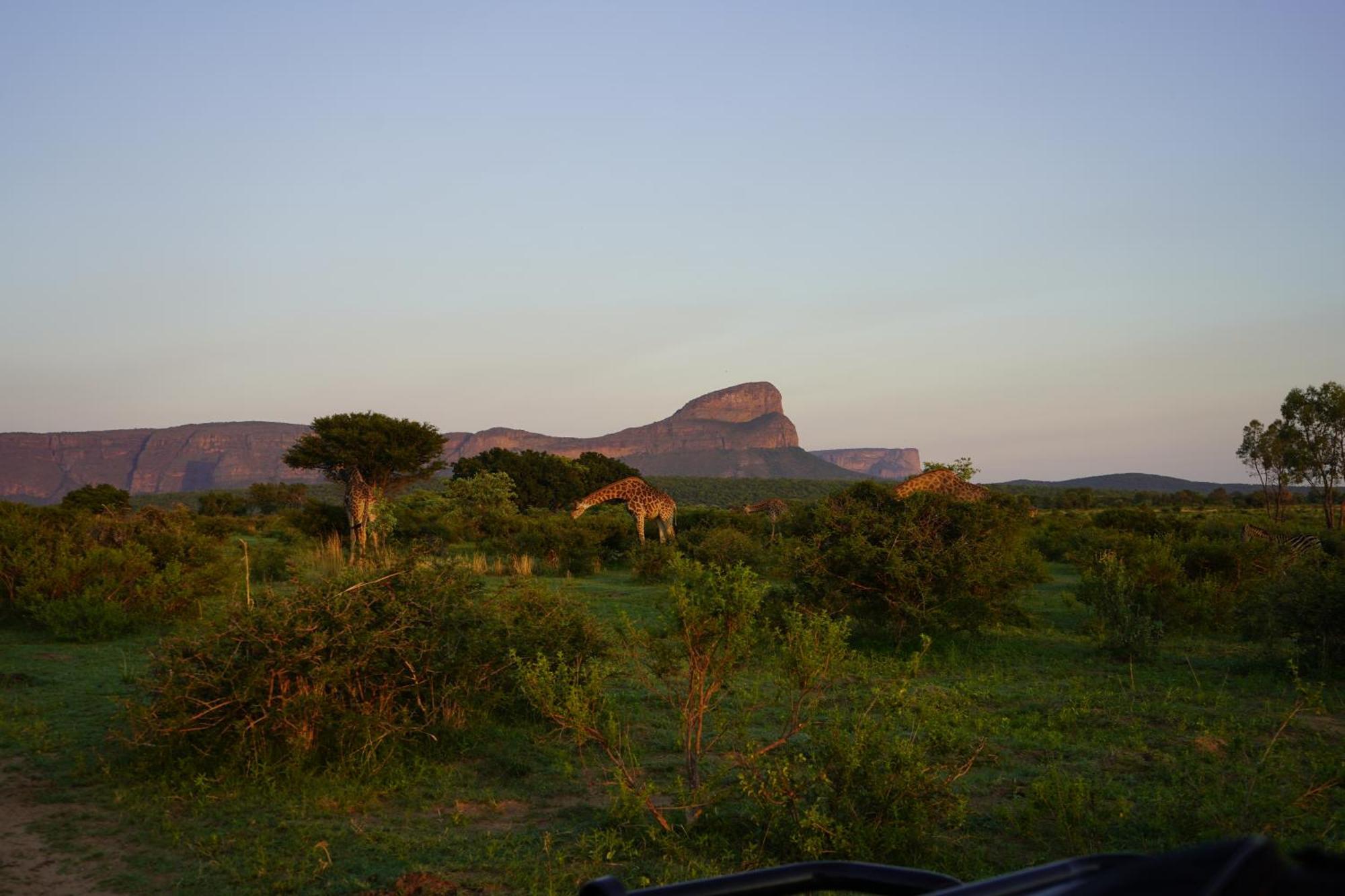 Honeyguide Ranger Camp 호텔 Golders Green 외부 사진