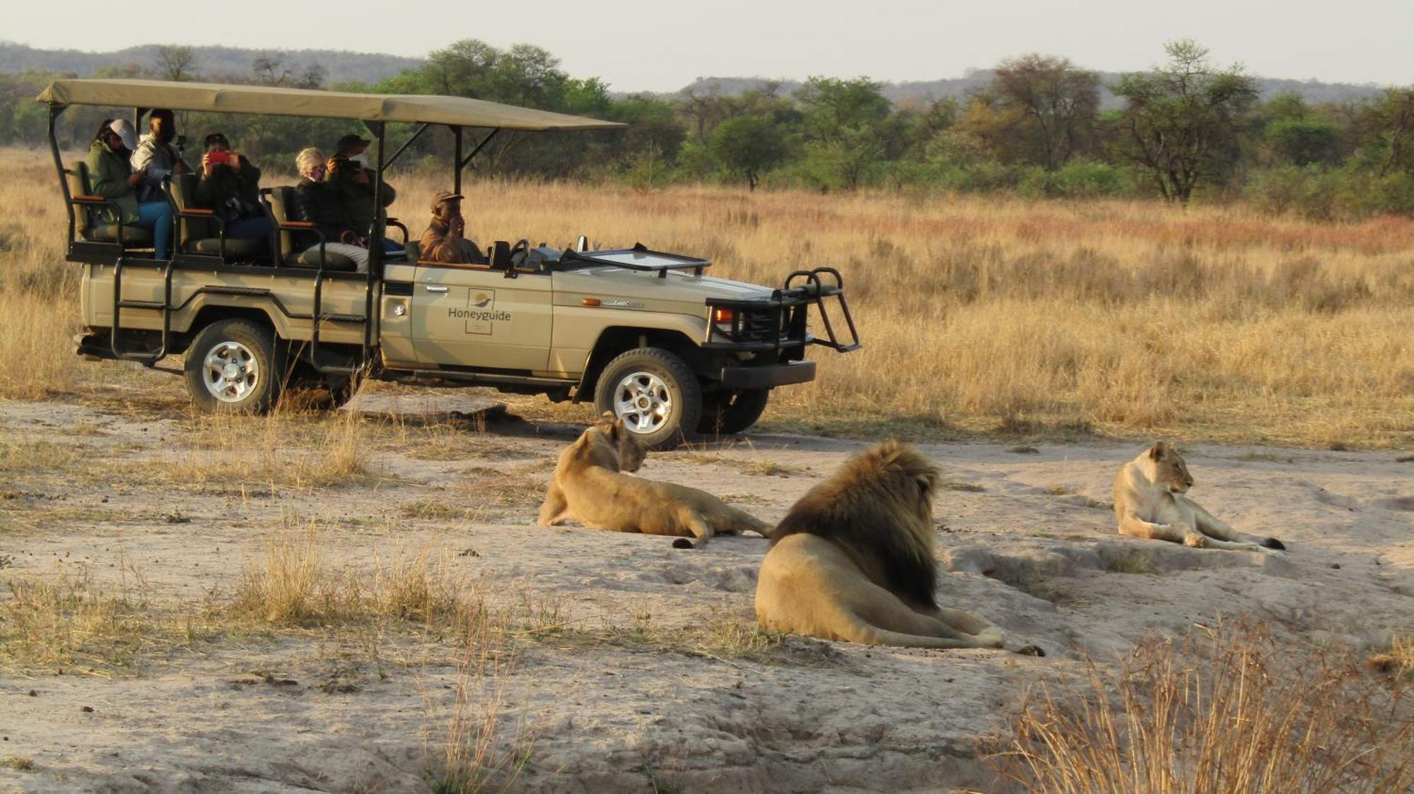 Honeyguide Ranger Camp 호텔 Golders Green 외부 사진