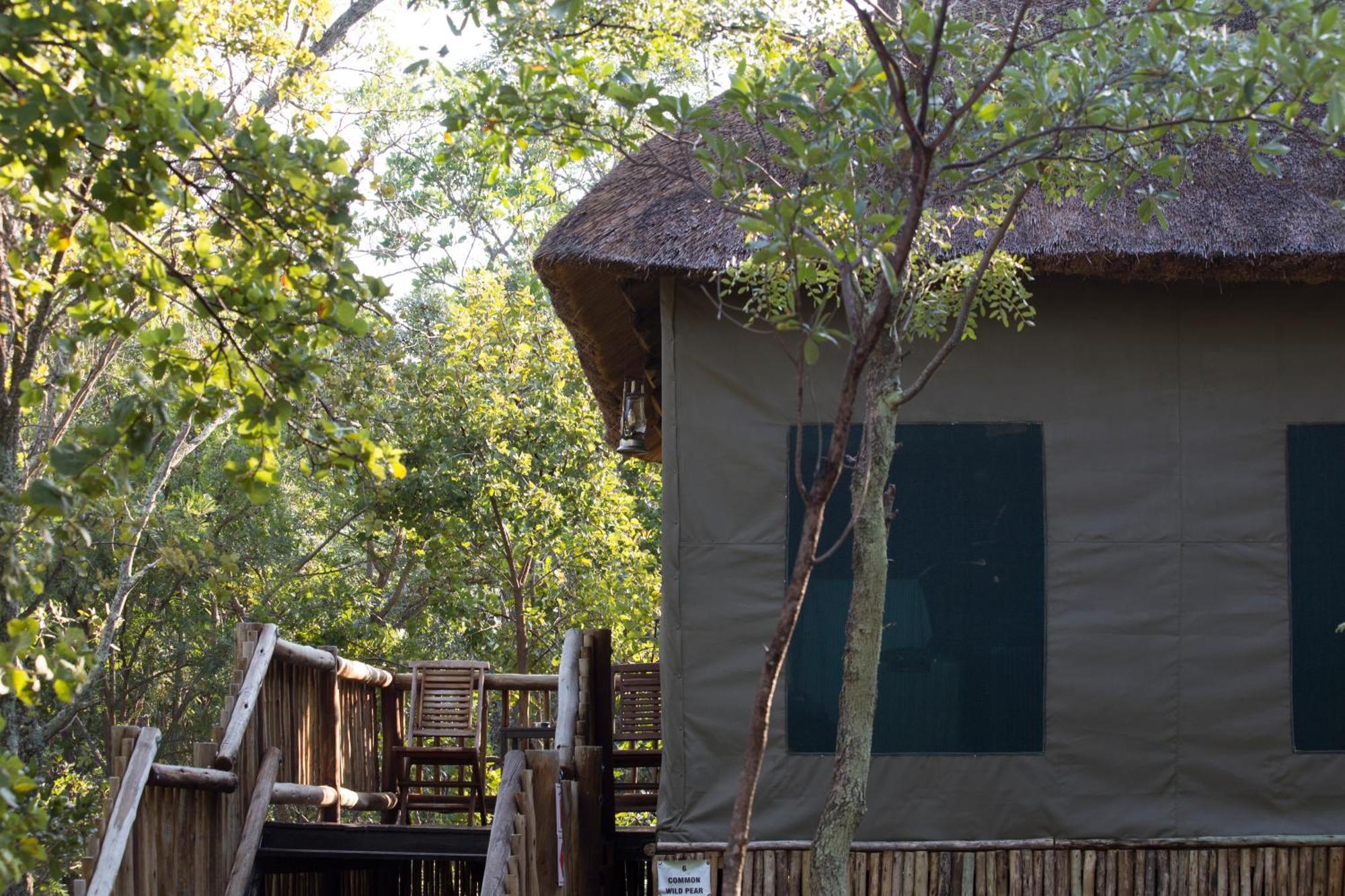 Honeyguide Ranger Camp 호텔 Golders Green 객실 사진