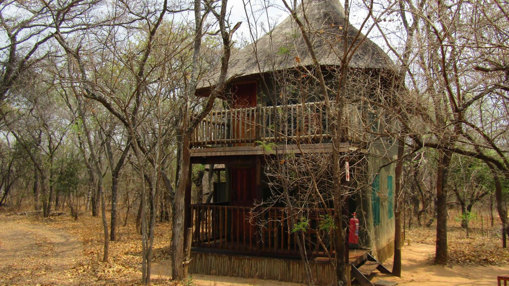 Honeyguide Ranger Camp 호텔 Golders Green 객실 사진